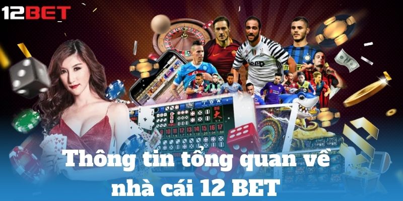 Thông tin tổng quan về nhà cái 12 BET 